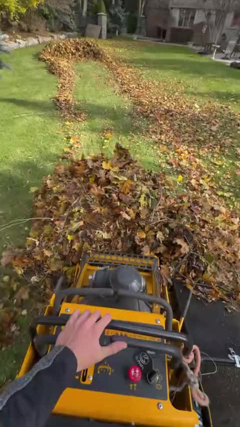 Fall leaf cleanup in progress
