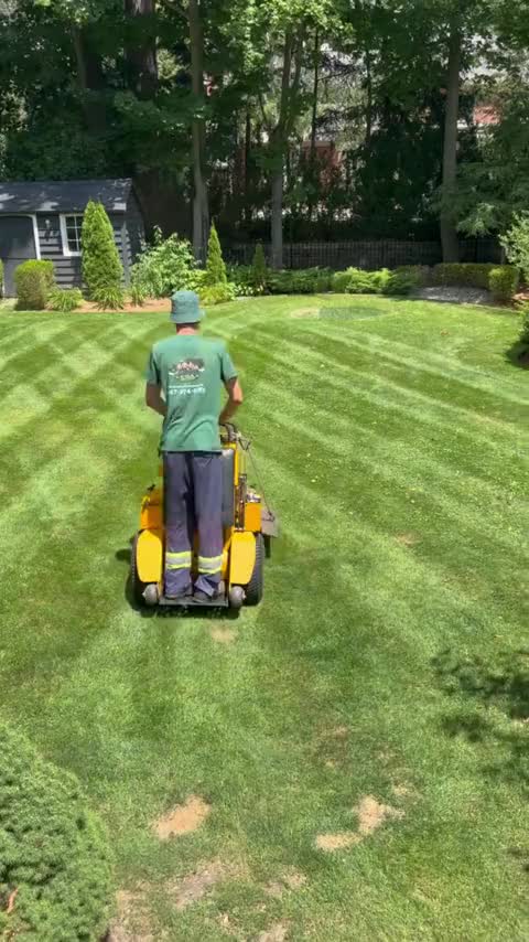 Mowing crisp stripes into a backyard lawn